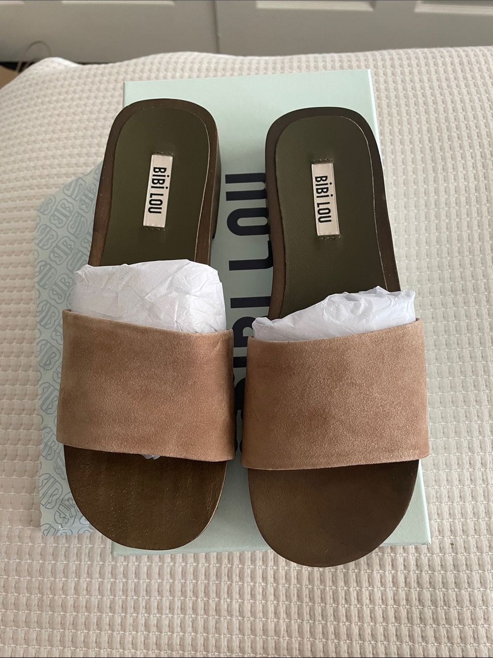 Anthropologie Mint Green Shoe Box with Taupe Label